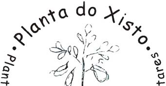 PLANTA DO XISTO