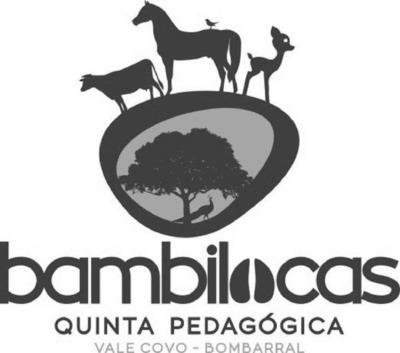BAMBILOCAS QUINTA PEDAGÓGICA