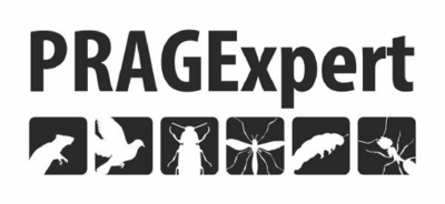 PRAGEXPERT