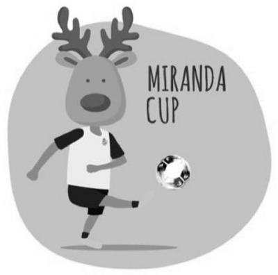 MIRANDA CUP INTERNATIONAL YOUTH TOURNAMENT