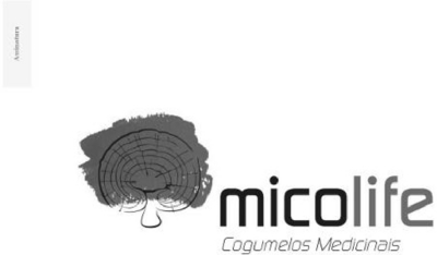 MICOLIFE:COGUMELOS MEDICINAIS