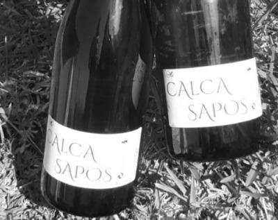 CALCA SAPOS