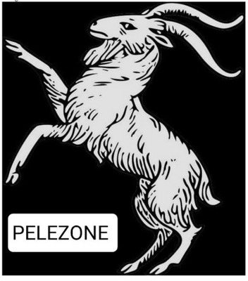 PELEZONE