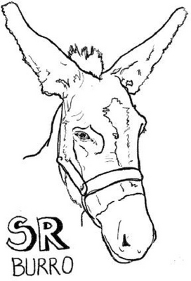 SR BURRO