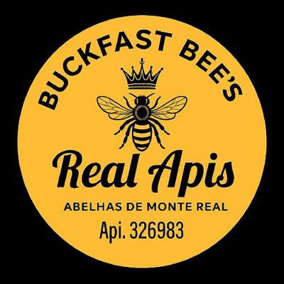 REAL APIS BUCKFAST BEE'S ABELHAS DE MONTE REAL API.326983