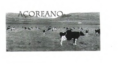 AÇOREANO