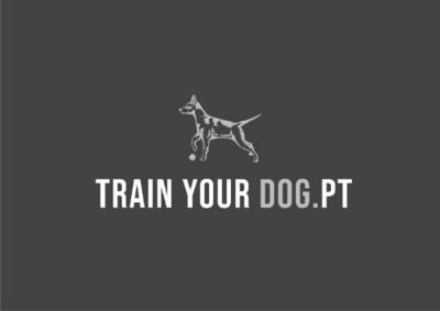 TRAIN YOUR DOG . PT