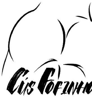 CÚSFOFINHOS BY TIAGO LOBO