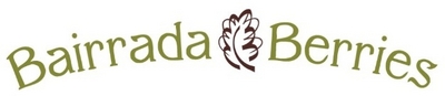 BAIRRADA BERRIES