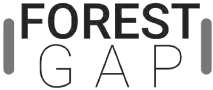 FOREST GAP