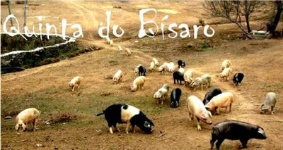 QUINTA DO BÍSARO