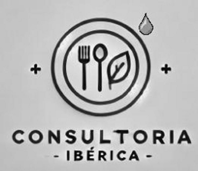 CONSULTORIA IBERICA