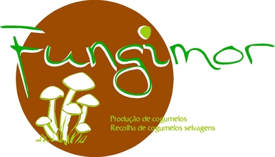 FUNGIMOR PRODUÇÃO DE COGUMELOS RECOLHA DE COGUMELOS SELVAGENS