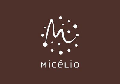 MICÉLIO