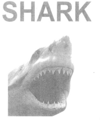 SHARK
