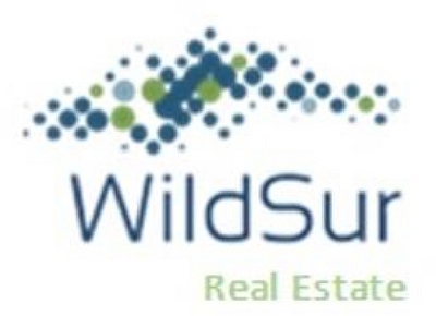 WILDSUR REAL ESTATE