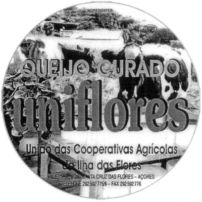 QUEIJO CURADO UNIFLORES