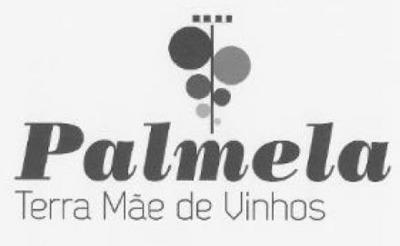 PALMELA TERRA MÃE DE VINHOS