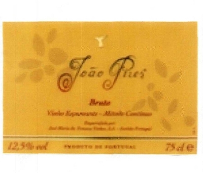 JOÃO PIRES