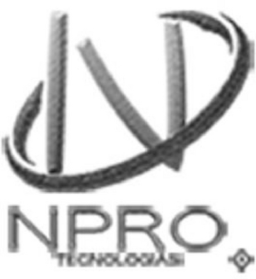 NPRO TECNOLOGIAS