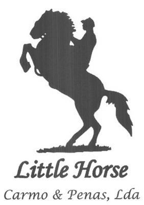 LITTLE HORSE
