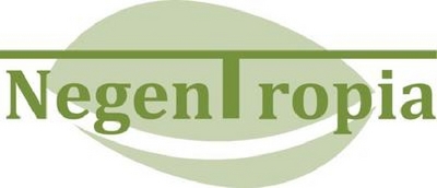 NEGENTROPIA