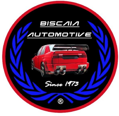 BISCAIA AUTOMOTIVE SINCE 1973