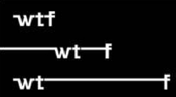 WTF