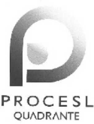 PROCESL QUADRANTE