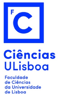 PT500000000542369