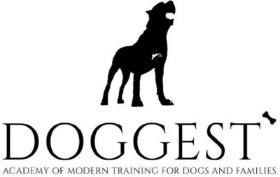 DOGGEST - ACADEMY OF MODERN TRAINING FOR DOGS AND FAMILIES