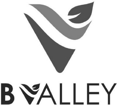 BVALLEY