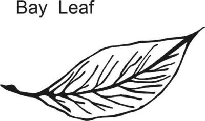 BAY LEAF