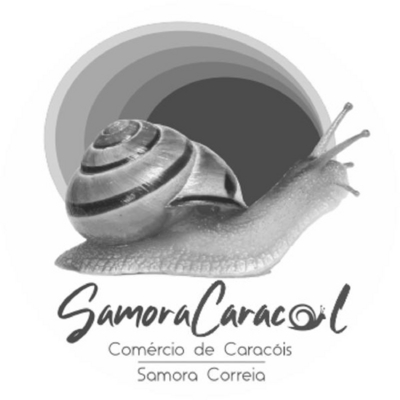 SAMORACARACOL, COMÉRCIO DE CARACÓIS, SAMORA CORREIA