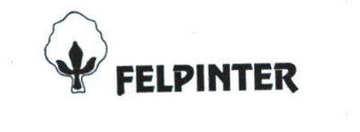 FELPINTER
