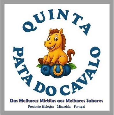 QUINTA PATA DO CAVALO, DOS MELHORES MIRTILOS AOS MELHORES SABORES, PRODUÇÃO BIOLÓGICA - MIRANDELA