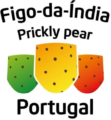 FIGO-DA-ÍNDIA  PRICKLY PEAR