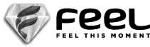 FEEL FEEL THIS MOMENT