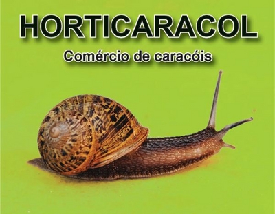 HORTICARACOL COMÉRCIO DE CARACÓIS