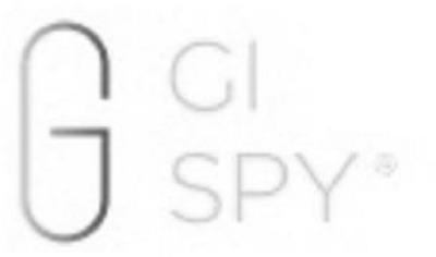 GI SPY