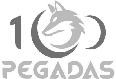 100 PEGADAS