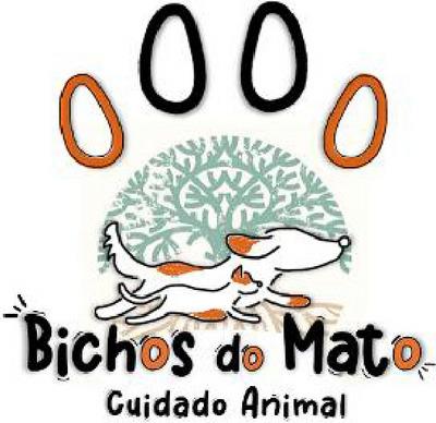 BICHOS DO MATO CUIDADO ANIMAL