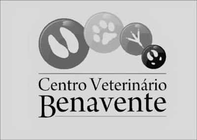 CENTRO VETERINÁRIO BENAVENTE