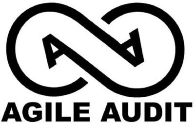 AGILE AUDIT