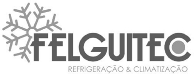 FELGUITEC