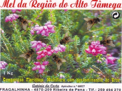 MEL DA REGIÃO DO ALTO TÂMEGA