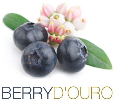 BERRYD'OURO