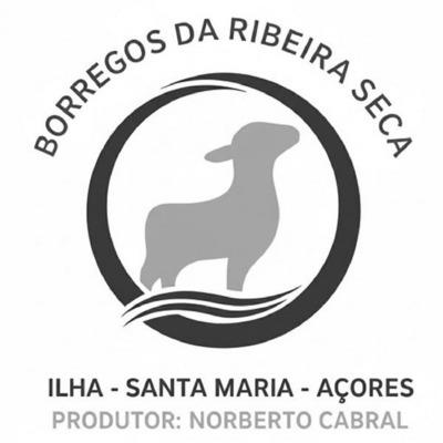 BORREGOS DA RIBEIRA SECA ILHA - SANTA MARIA - AÇORES PRODUTOR: NORBERTO CABRAL