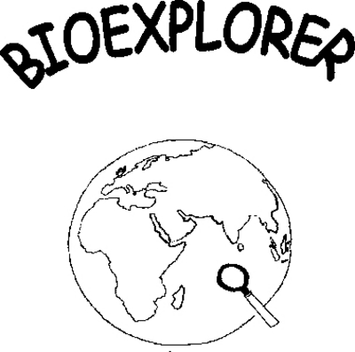 BIOEXPLORER