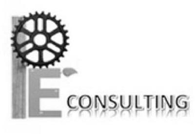 PE CONSULTING
